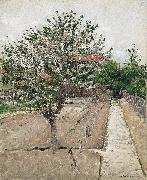 Gustave Caillebotte Apple Tree in Bloom Spain oil painting artist